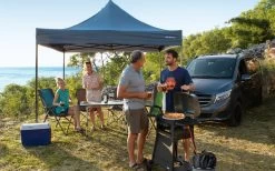 Berger Faltstuhl Siena In Klappstuhloptik Grün -Camping Welt Verkauf 270452 1919321