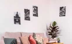 Silwy® Flex Magnethaken Inkl. Metall-Nano-Gel-Pads 5 Cm 8-tlg. Blau 13 Silwy® Flex Magnethaken Inkl. Metall-Nano-Gel-Pads 5 Cm 8-tlg. Blau -Camping Welt Verkauf 336857 2526568