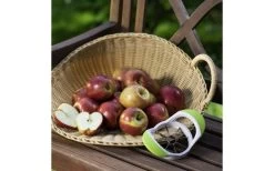 Westmark Apfelteiler 8P 6 Westmark Apfelteiler 8P -Camping Welt Verkauf 553660 3611303